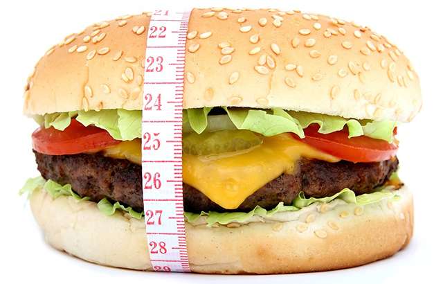 Researchers find link between a high fat diet, obesity and cardiovascular disease risk