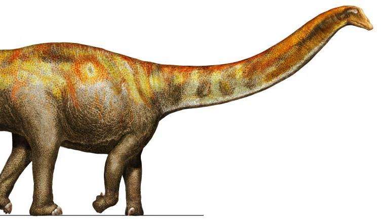 New species of dinosaur increases the already unexpected diversity of 'whiplash dinosaurs'