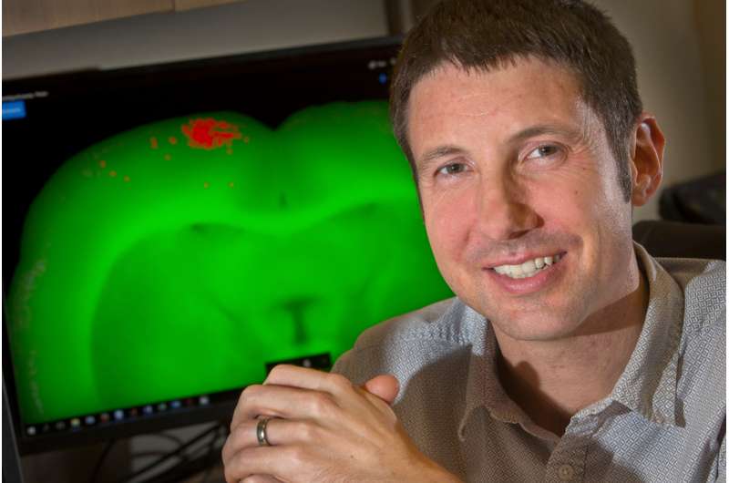 Researcher sheds new light on how brain operates like GPS