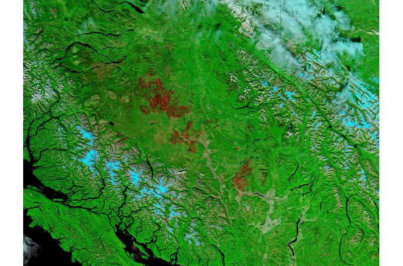 NASA satellite highlights burn scars in British Columbia