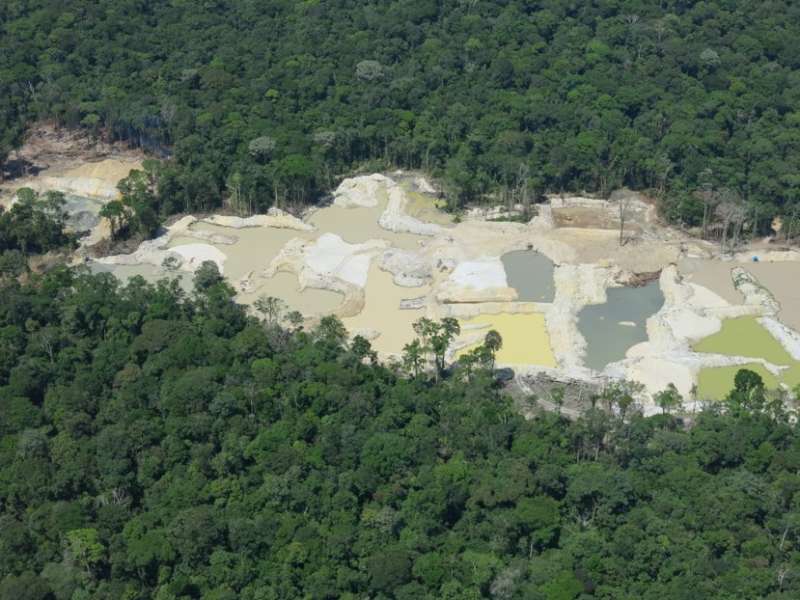 Researchers map the illegal use of natural resources in the protected Brazilian Amazon