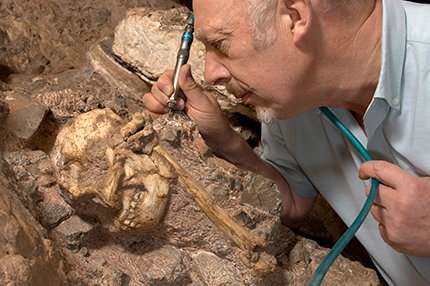 After 20 years, researcher presents the most complete Australopithecus fossil ever found