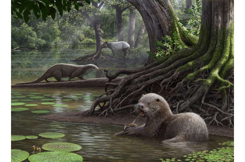 A giant, prehistoric otter's surprisingly powerful bite