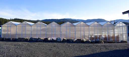 Alaska counters lack of fresh veggies with greenhouse guide