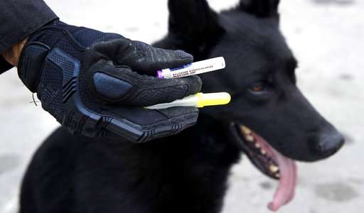 A tool to protect police dogs in drug raids from overdosing