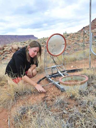 Changing temperatures and precipitation may affect living skin of drylands