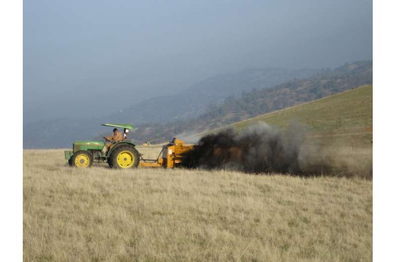 grassland vs forest carbon sequestration
