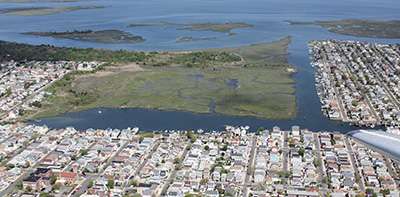 Coastal wetlands dramatically reduce property losses during hurricanes