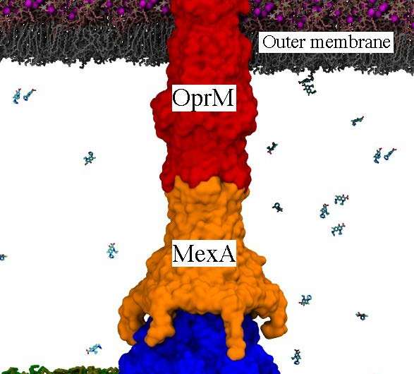 Computer simulations reveal roots of drug resistance