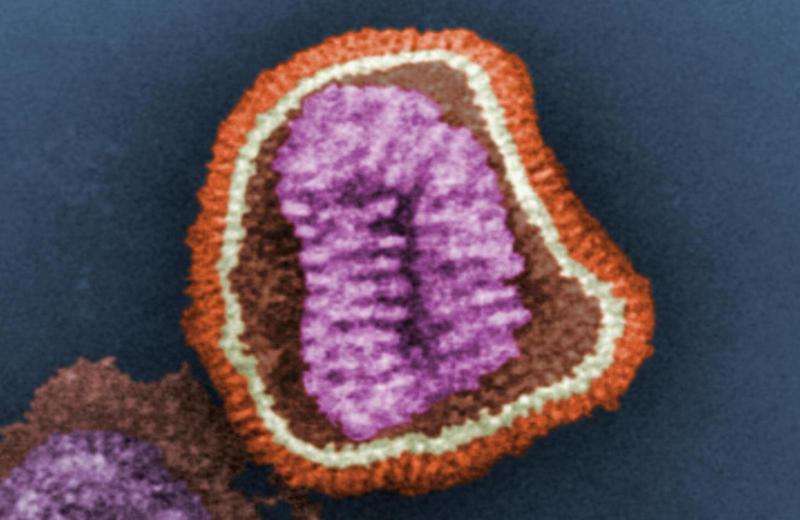Designing antiviral proteins via computer could help halt the next pandemic