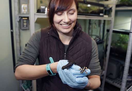 Detroit Zoo's own Dr. Ruth encourages amorous amphibians