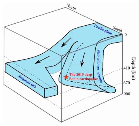 Dissection of the 2015 Bonin deep earthquake