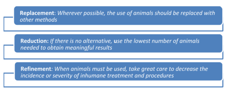 Double standards in animal ethics—why is a lab mouse better protected than a cow?
