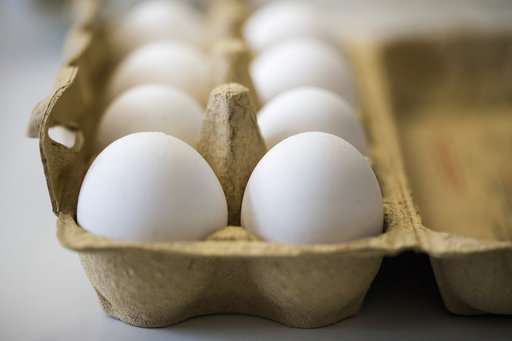 Dutch arrest 2 suspects in investigation into tainted eggs