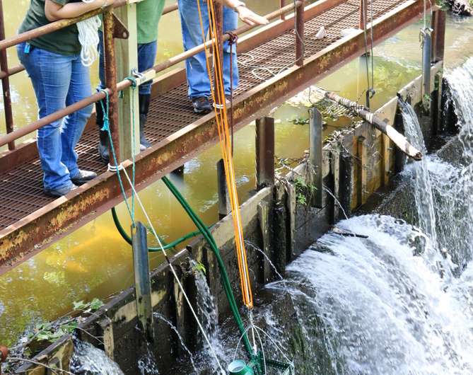 'Eelevator' project gives American eels a lift