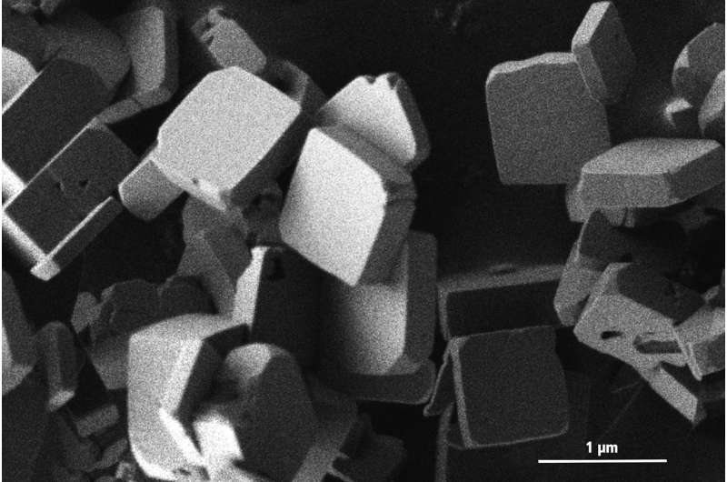 Electrode materials from the microwave oven