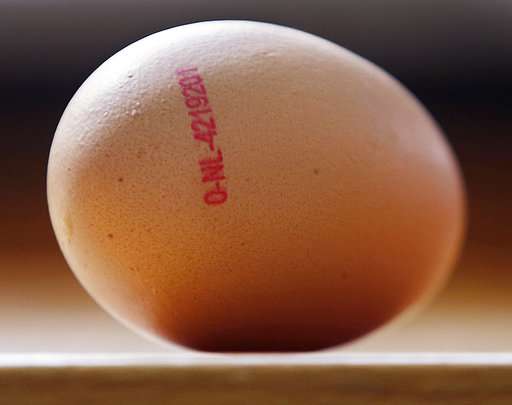 EU says Belgium took weeks to notify tainted egg discovery