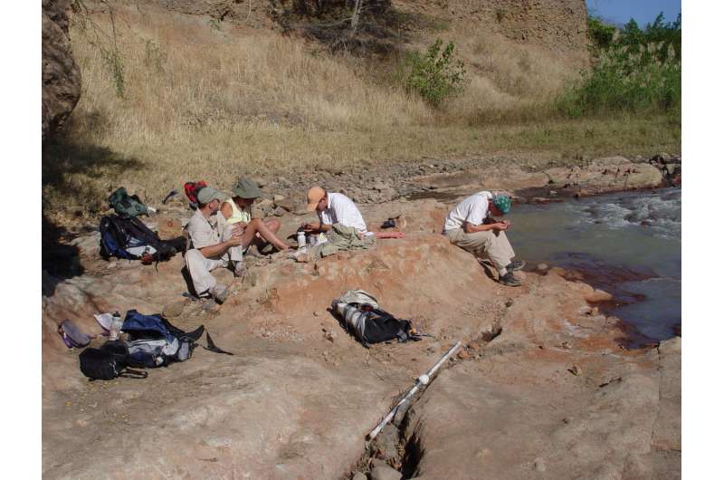 Fossil discovery in Tanzania reveals ancient bobcat-sized carnivore