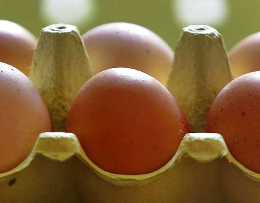 German supermarket chain yanks eggs amid pesticide scare