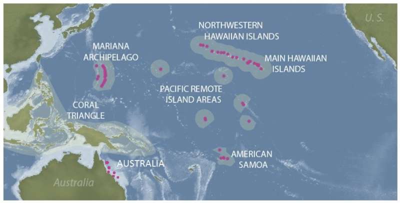 Hawai'i researchers receive funds to forecast coral disease across Pacific Ocean
