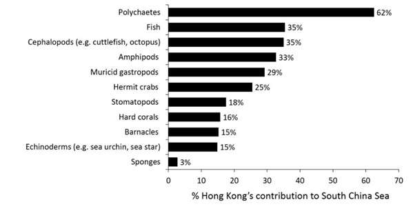 Hong Kong hosts more than a quarter of all marine species recorded in China