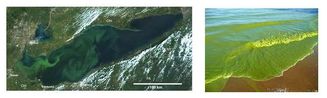 How satellite data led to a breakthrough for Lake Erie toxic algal blooms