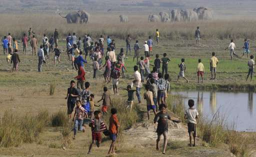 Human-wildlife conflict in India: 1 human killed every day