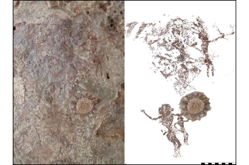 Indonesian island found to be unusually rich in cave paintings