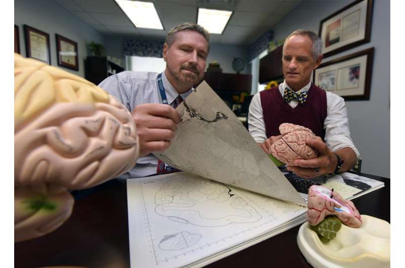 Intermittent electrical brain stimulation improves memory