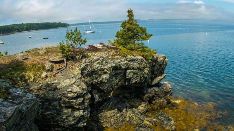 Longer, stronger summers in the Gulf of Maine