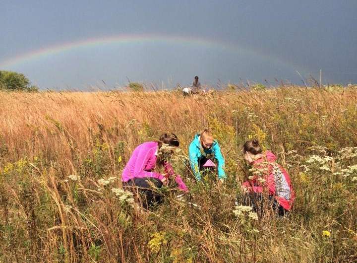 Long-term study aims to understand prairie ecology after farmland is forsaken