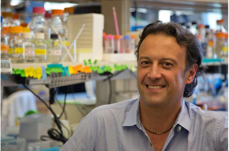 Ludwig researchers uncover mechanism behind metabolic vulnerability of some breast cancers