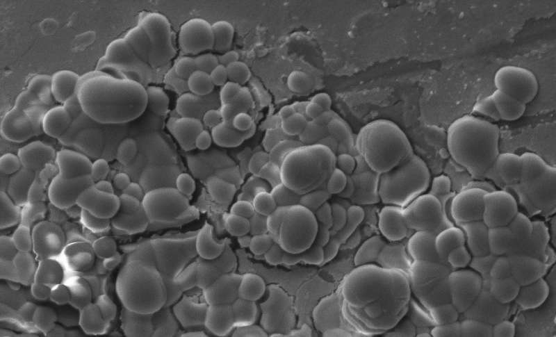 Microbes leave "fingerprints" on Martian rocks