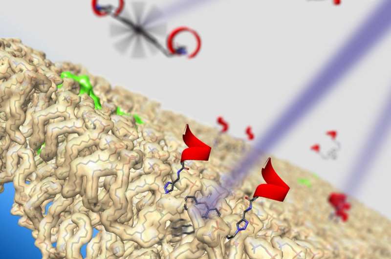 Motorized molecules drill through cells