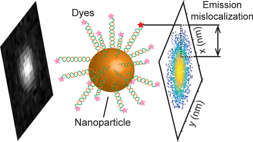 Nanoparticles can help scientists brighten their research—but they also can throw off microscopic measurements