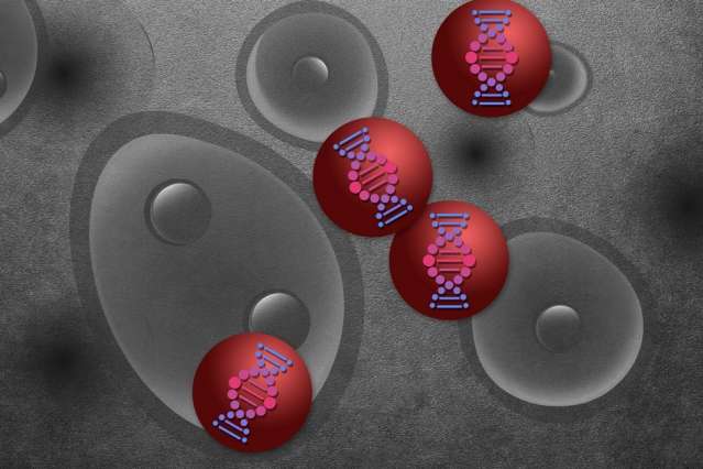 Nanoparticle screen could speed up drug development