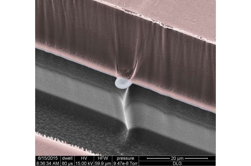 Nano-SPEARs gently measure electrical signals in small animals