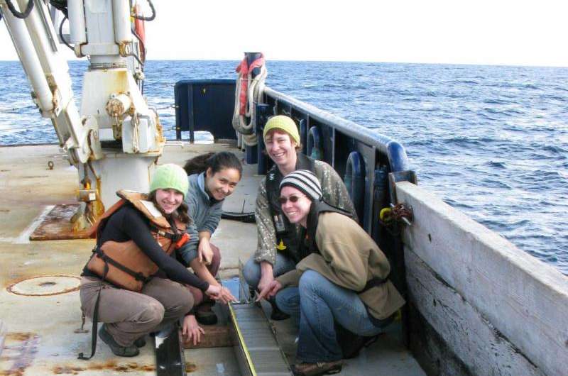 New methods further discern extreme fluctuations in forage fish populations