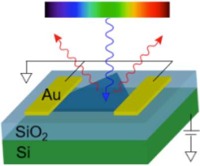 New results reveal high tunability of 2-D material, provide most precise band gap measurement for monolayer moly sulfide