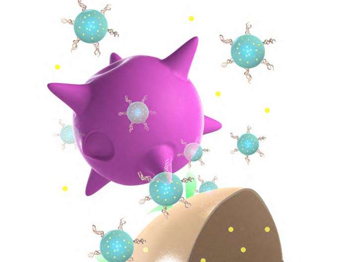 New technique uses immune cells to deliver anti-cancer drugs