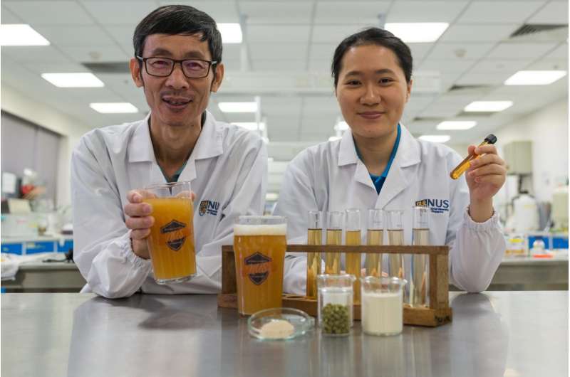 NUS researchers create novel probiotic beer that boosts immunity and improves gut health