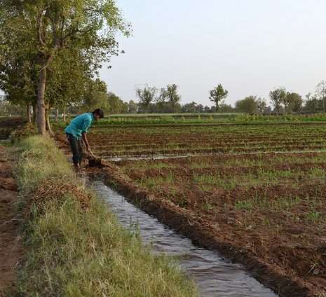Overuse of water threatens global food supply