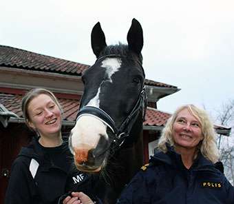 Police horses contribute to research in physics