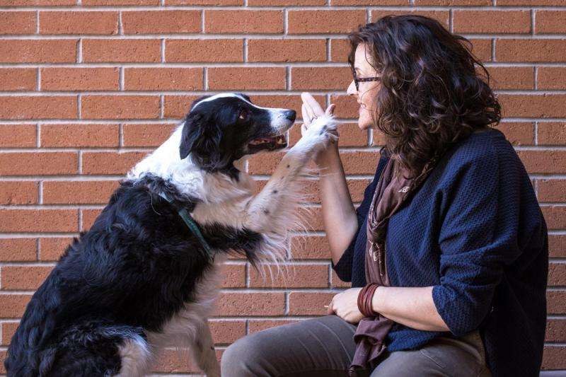 Researcher finds ways to reduce stress in shelter dogs