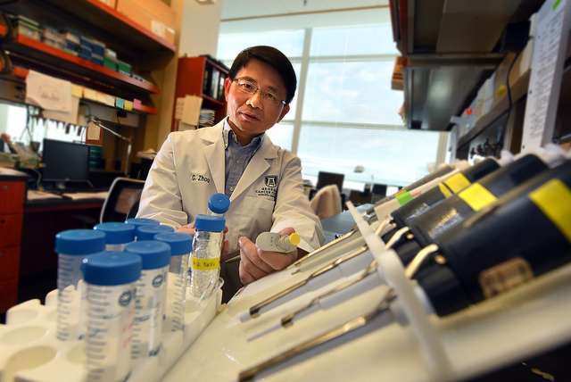 Scientists work to strengthen the synergy of chemotherapy and immunotherapy against cancer
