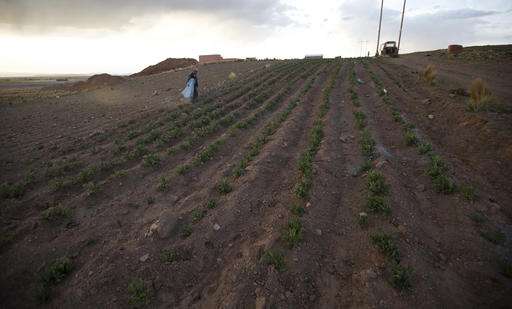 Severe Bolivian drought hurts crops, threatens capital