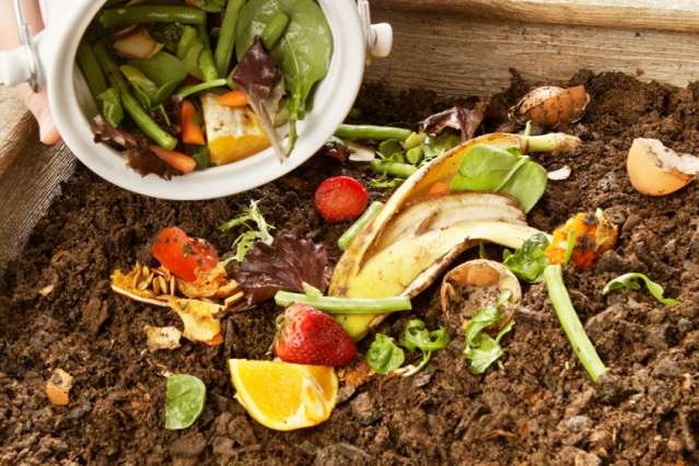 Study finds policy is key for food-waste recycling