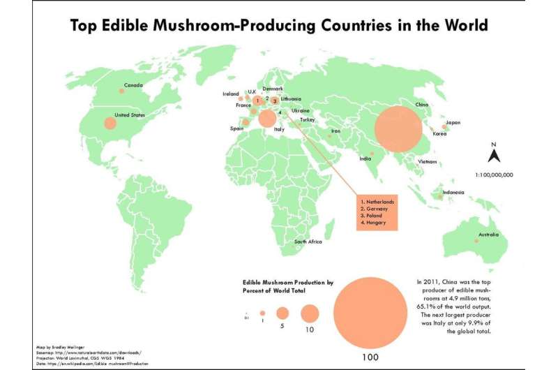 The amazing diversity – and possible decline – of mushrooms and other fungi