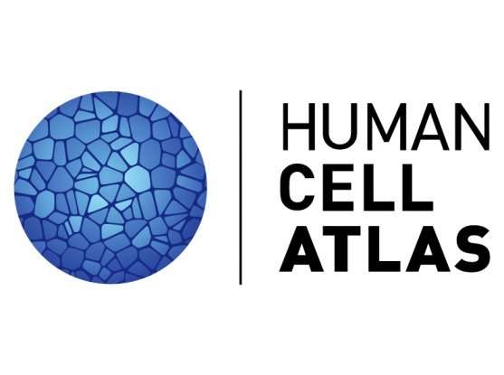 The international Human Cell Atlas publishes strategic blueprint, announces data from first one million cells