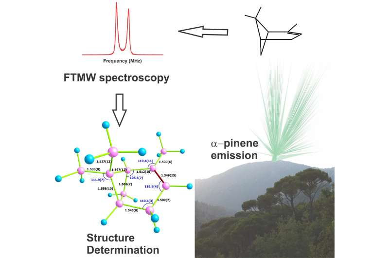 The molecular structure of a forest aroma deconstructed